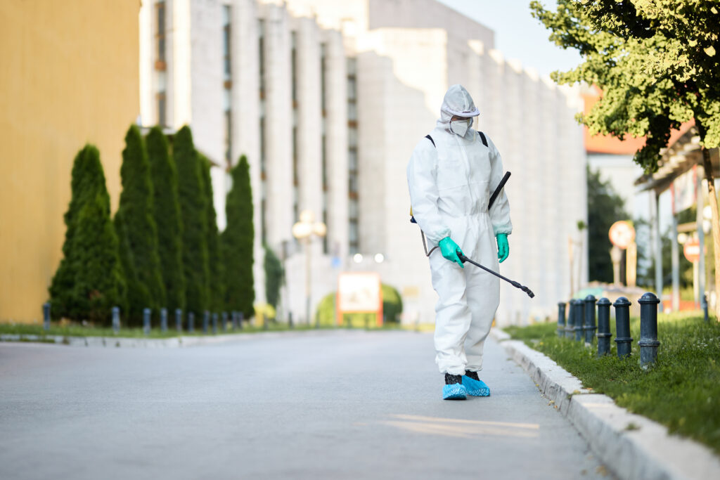 Top 5 Pest Control Services Near Bhubaneswar