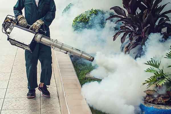 Mosquito Control Service in Bhubaneswar Odisha